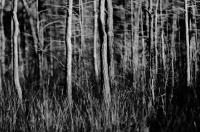 © sam notarbartolo